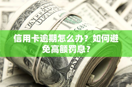 济南信用卡逾期怎么办？如何避免高额罚息？