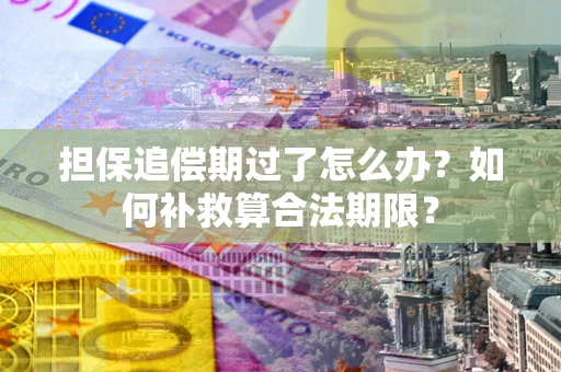 济南担保追偿期过了怎么办？如何补救算合法期限？
