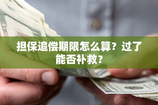 济南担保追偿期限怎么算？过了能否补救？